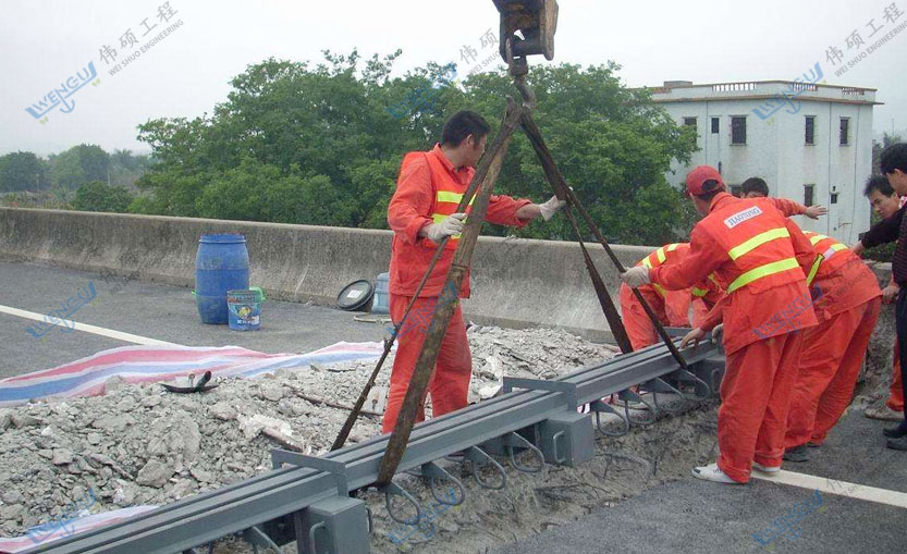 橋梁伸縮縫維護(hù)與安裝